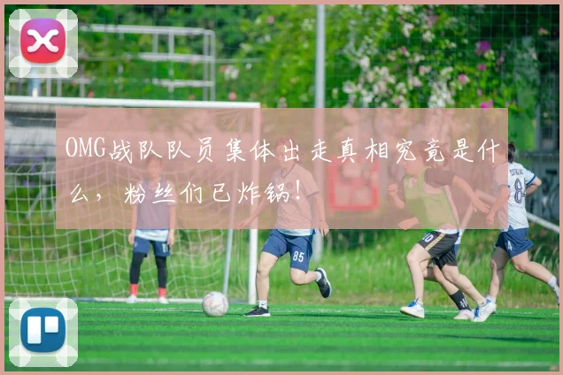 OMG战队队员集体出走真相究竟是什么,粉丝们已炸锅!