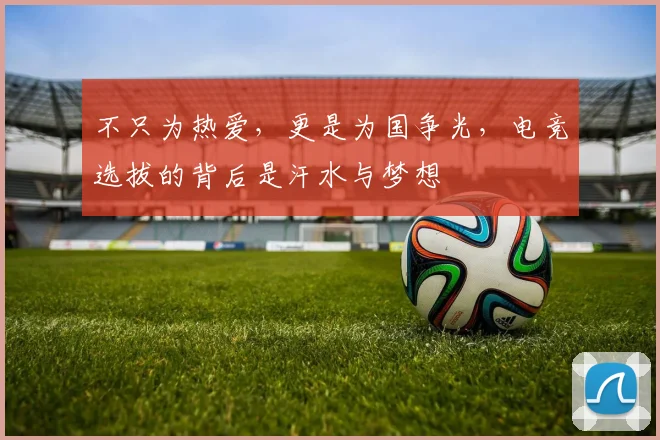 不只为热爱，更是为国争光，电竞选拔的背后是汗水与梦想